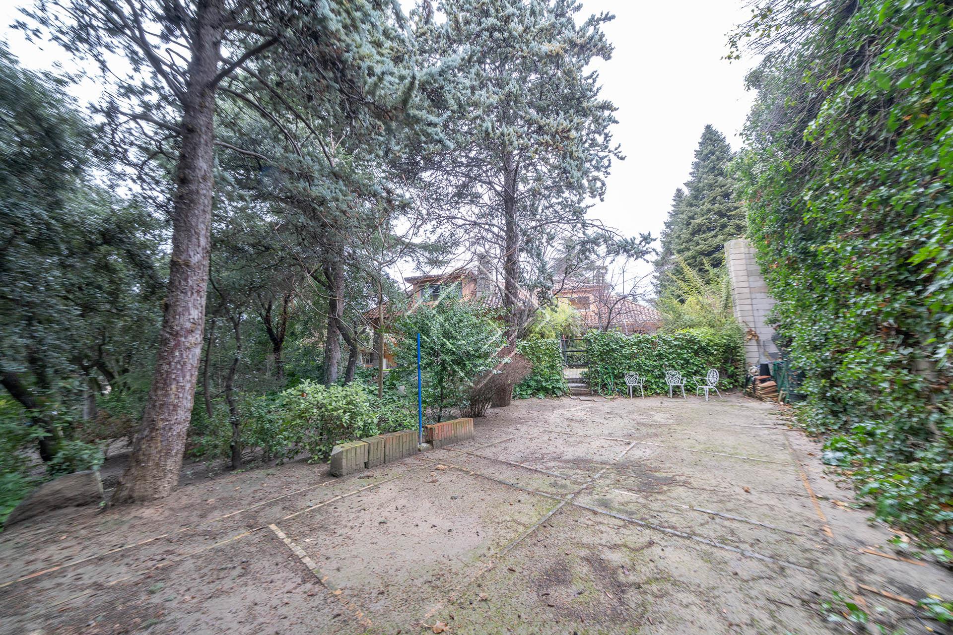 Imagen 55 de la propiedad