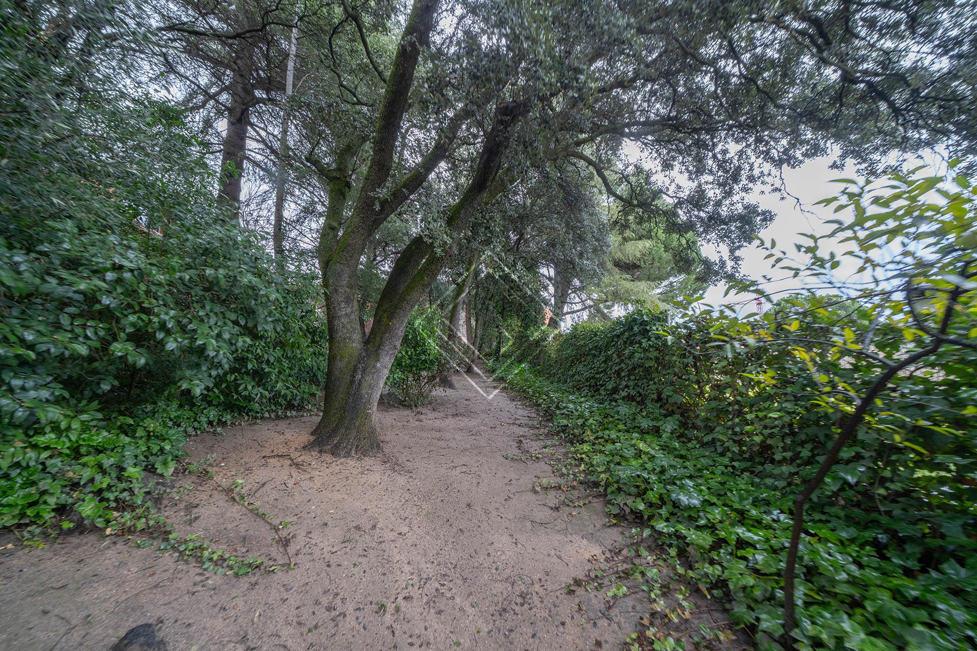 Imagen 52 de la propiedad