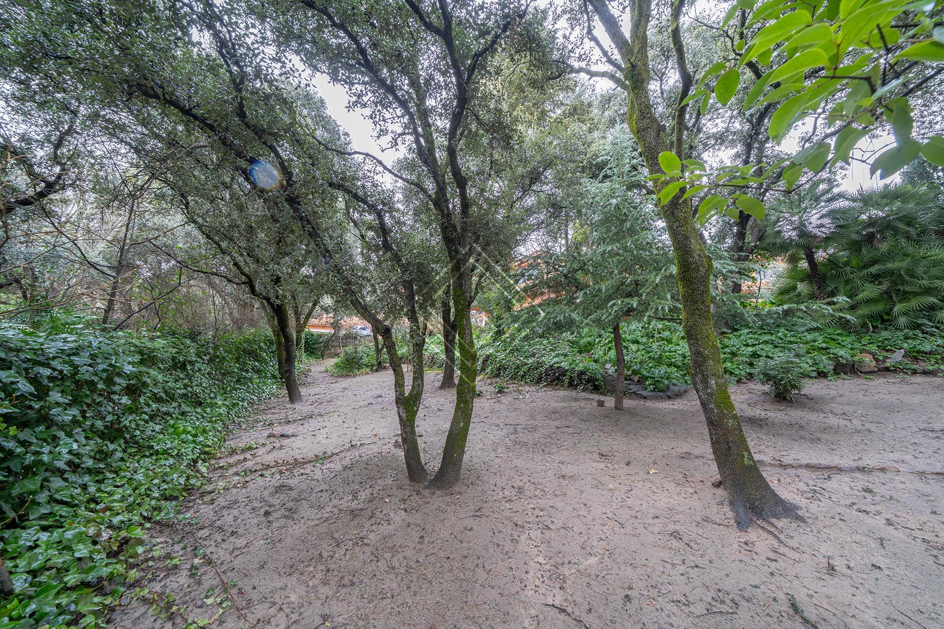 Imagen 47 de la propiedad