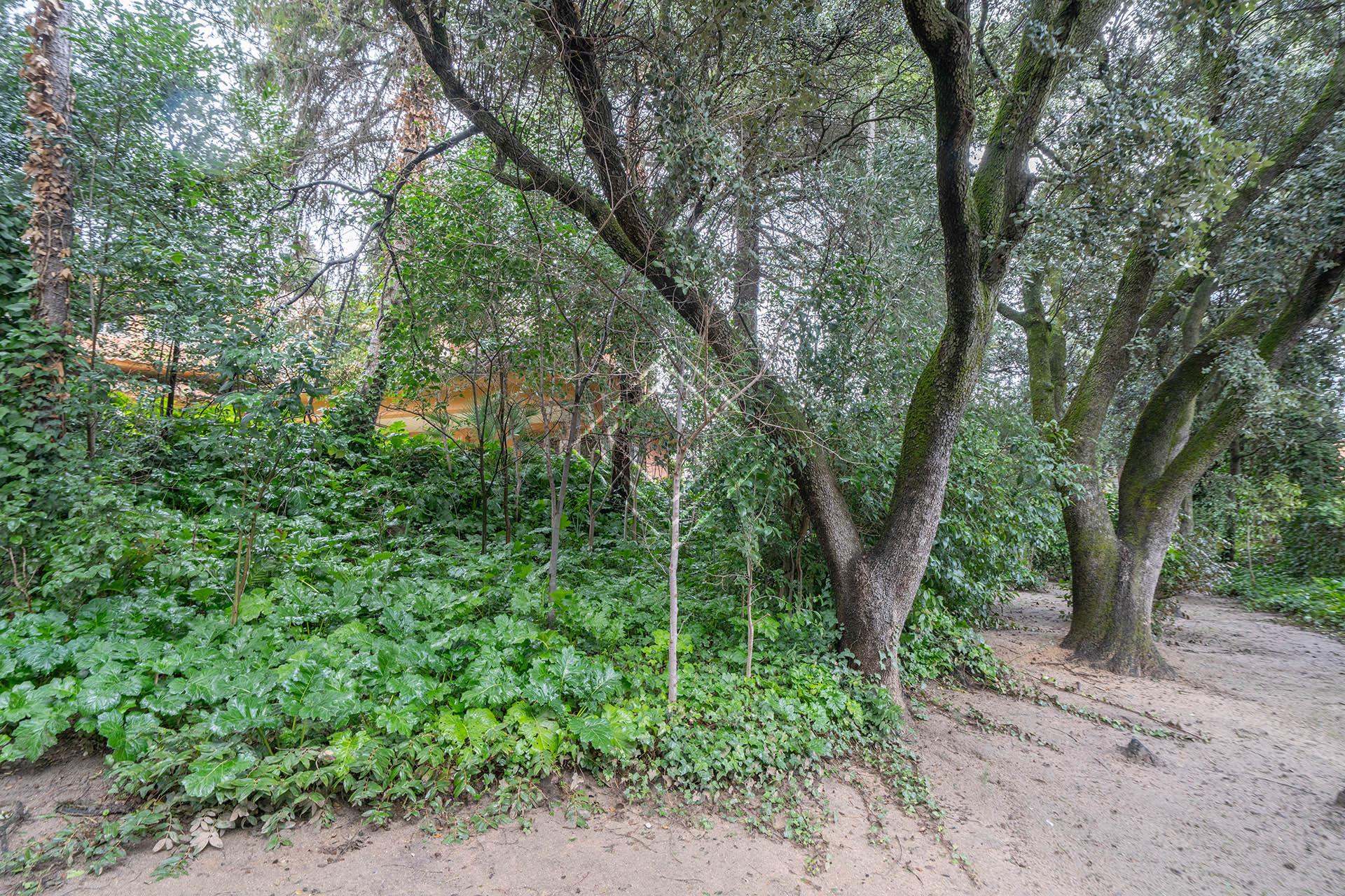 Imagen 51 de la propiedad