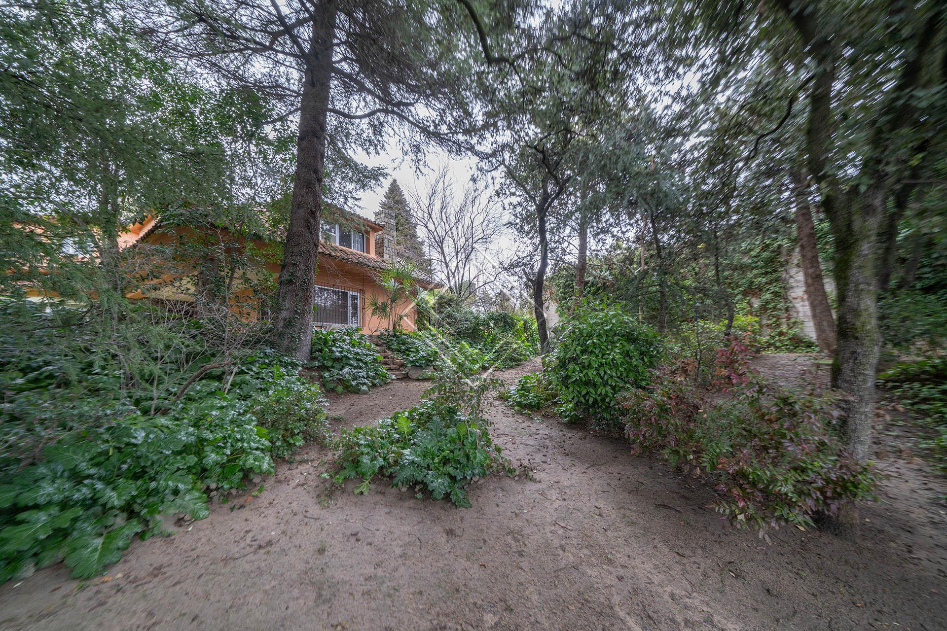 Imagen 54 de la propiedad