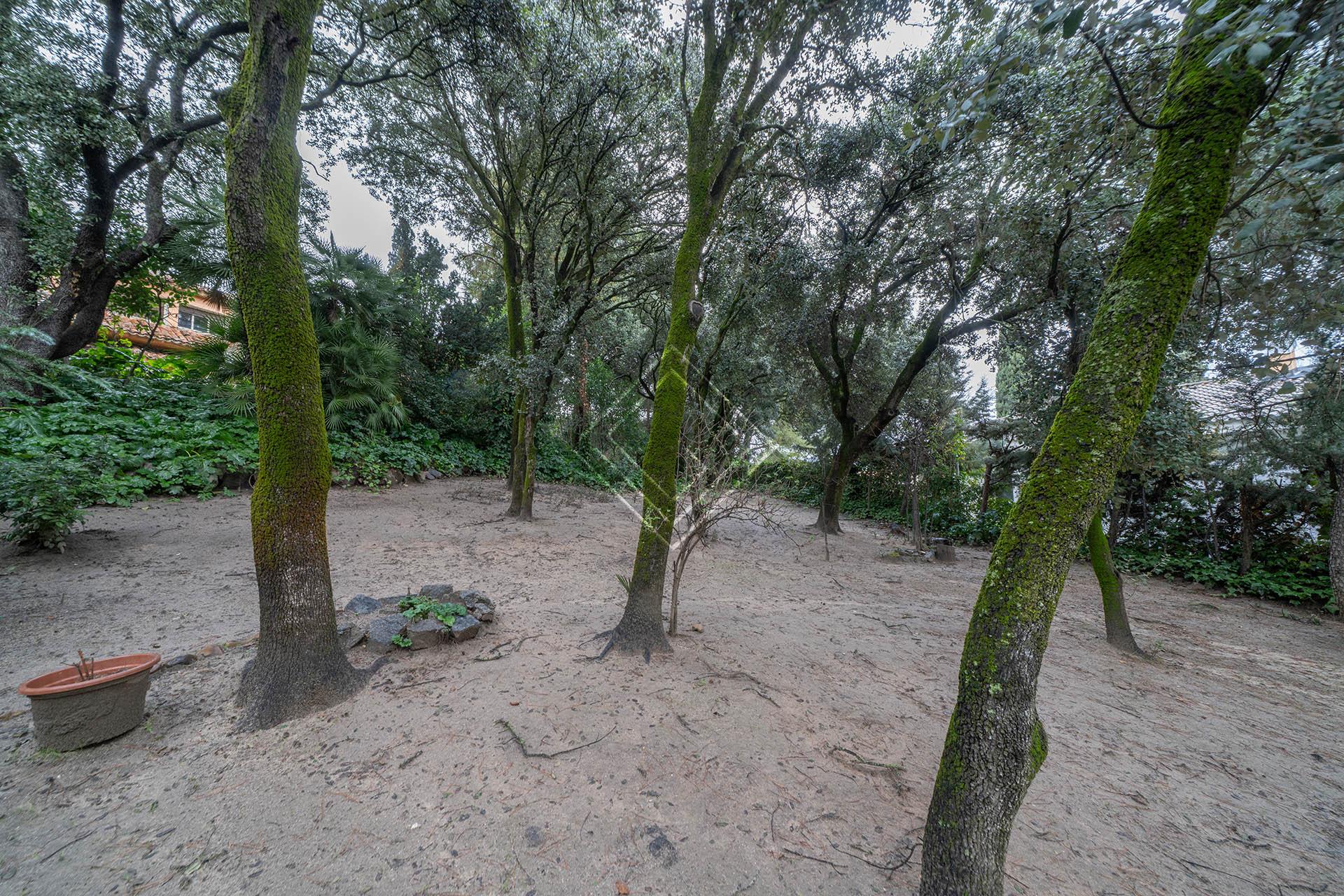 Imagen 49 de la propiedad