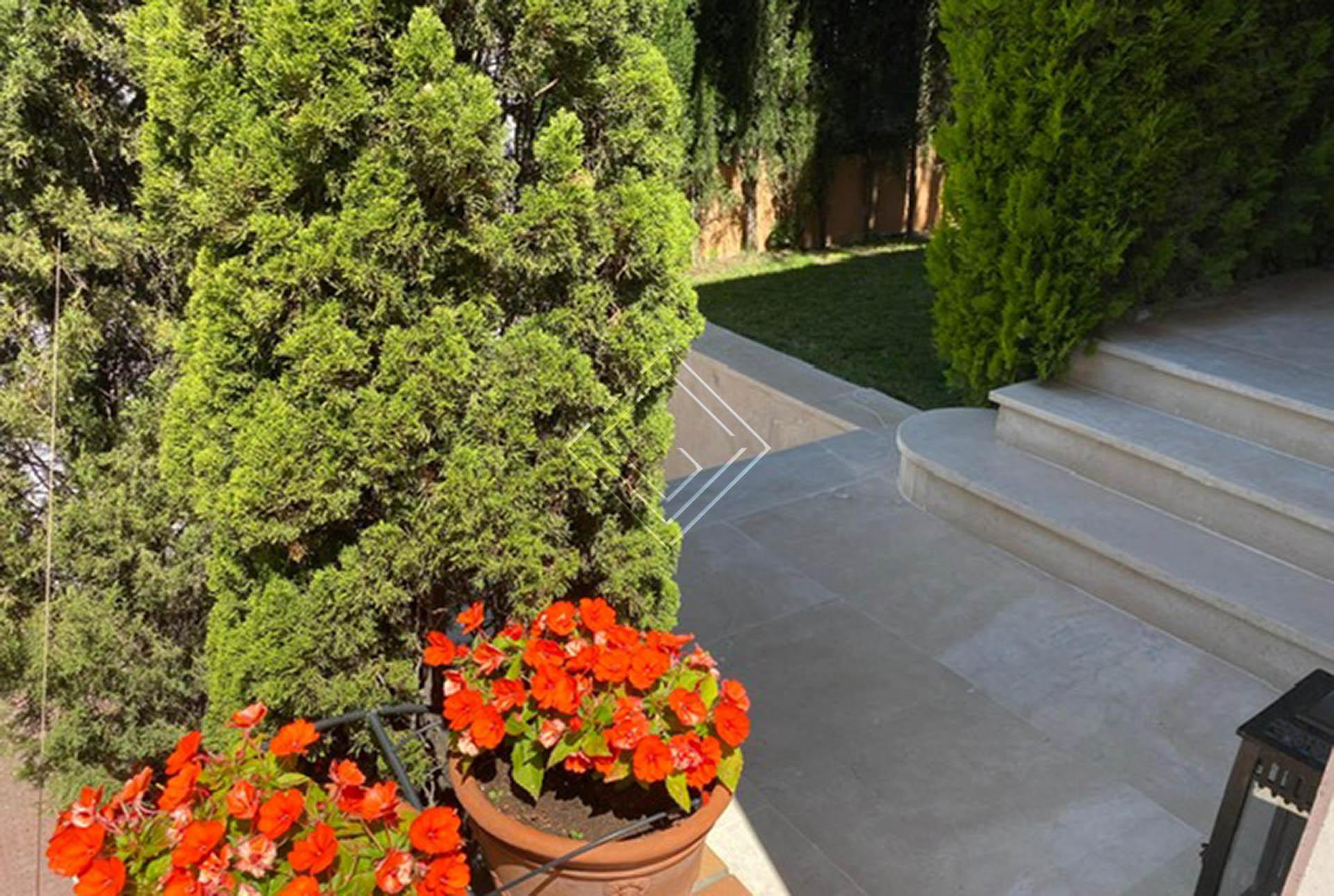 Imagen 42 de la propiedad