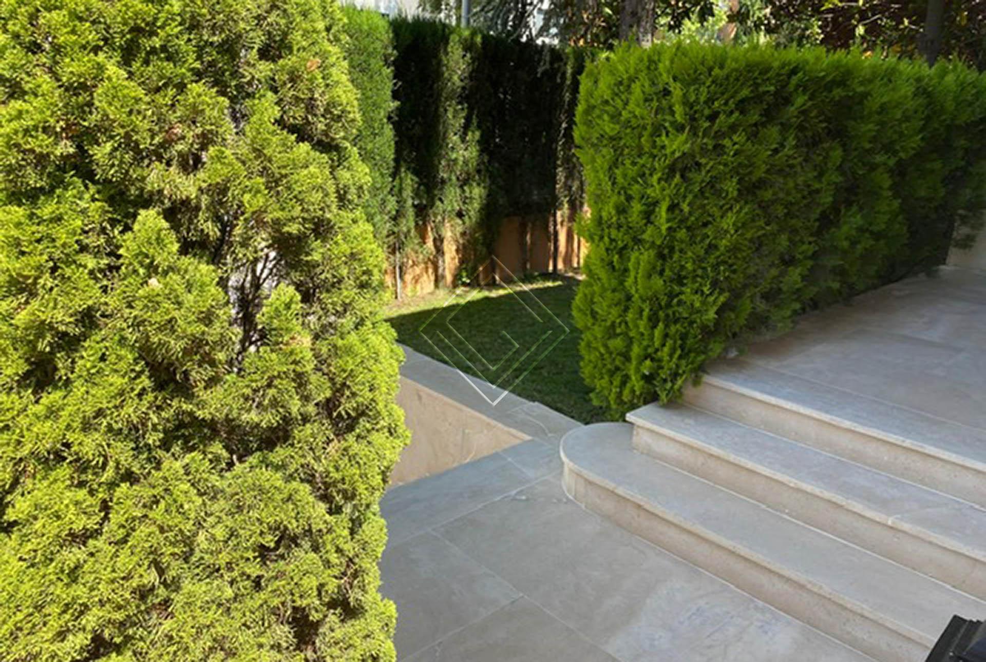 Imagen 45 de la propiedad