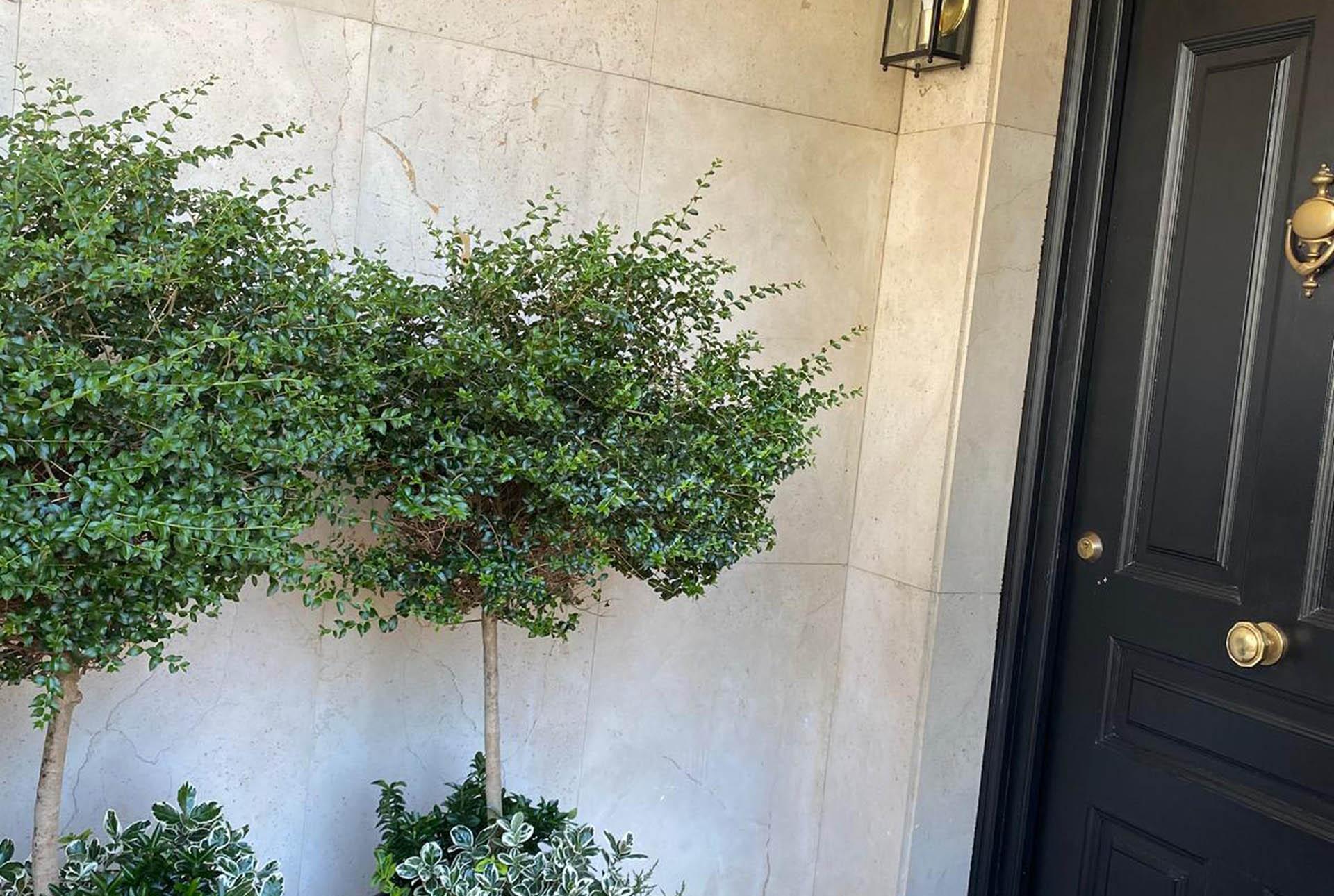 Imagen 40 de la propiedad