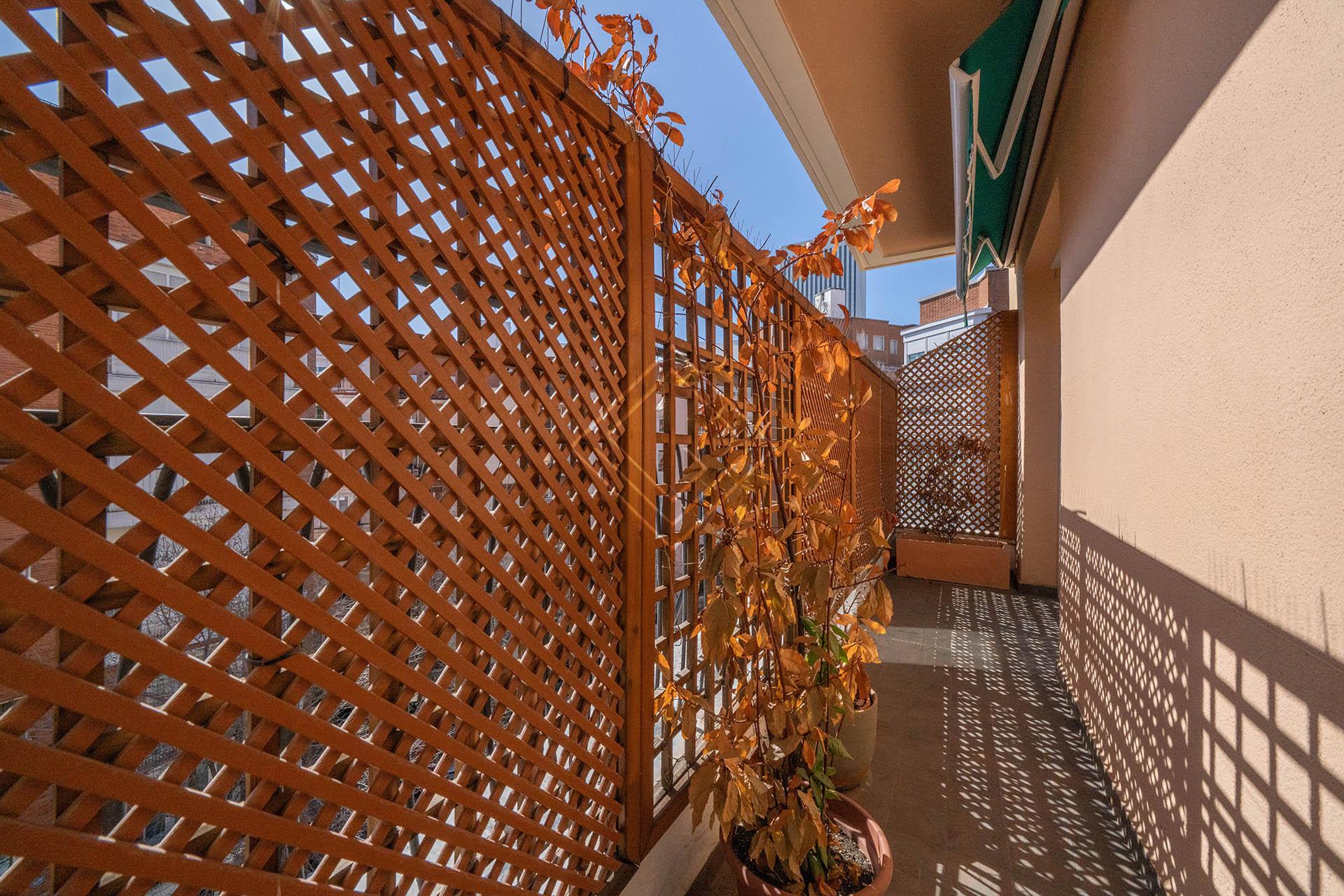 Imagen 17 de la propiedad