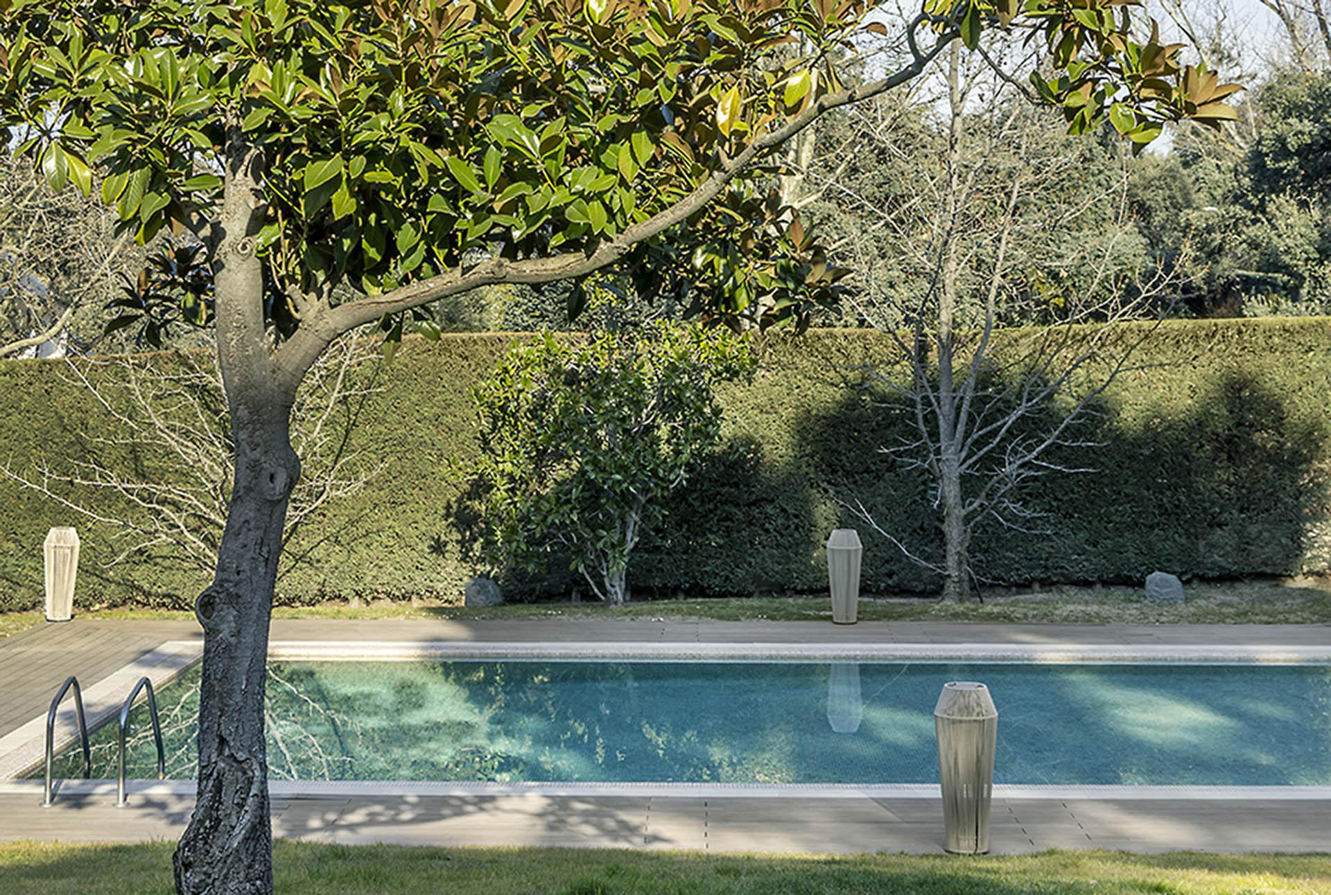 Imagen 25 de la propiedad