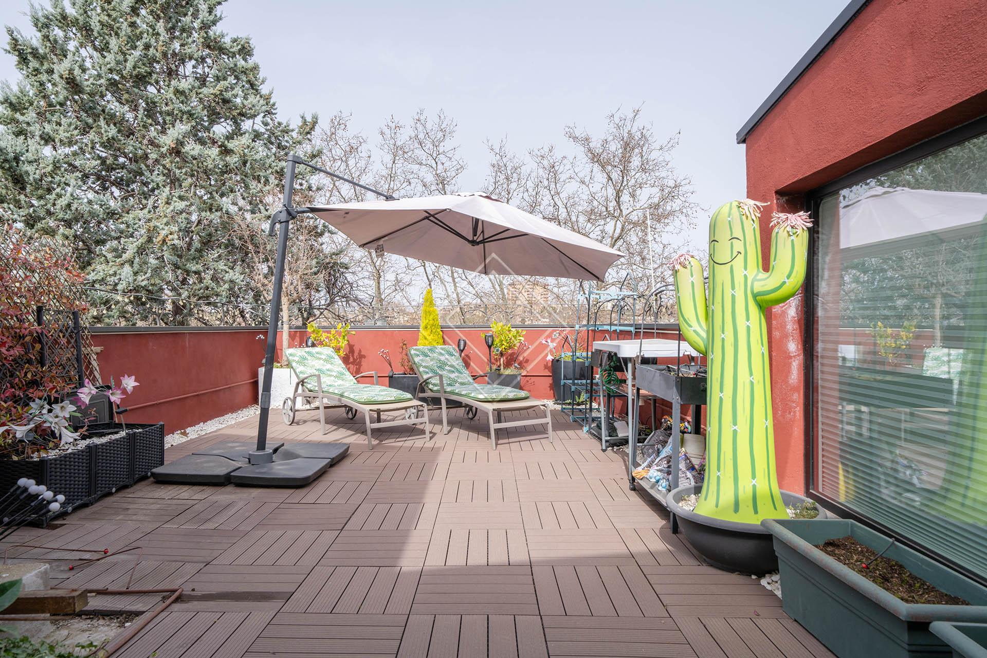 Imagen 53 de la propiedad