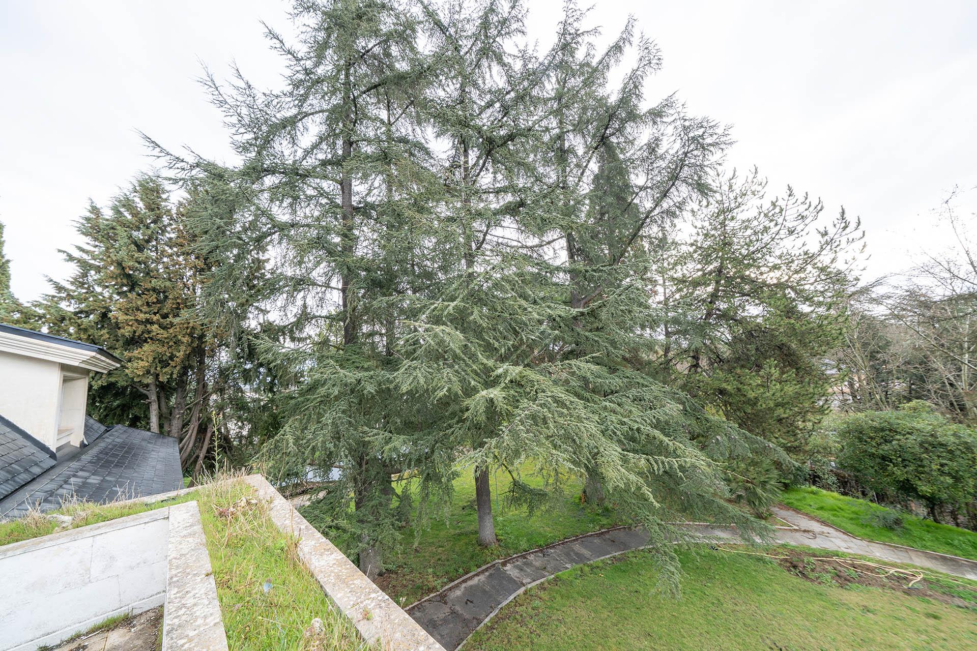 Imagen 14 de la propiedad