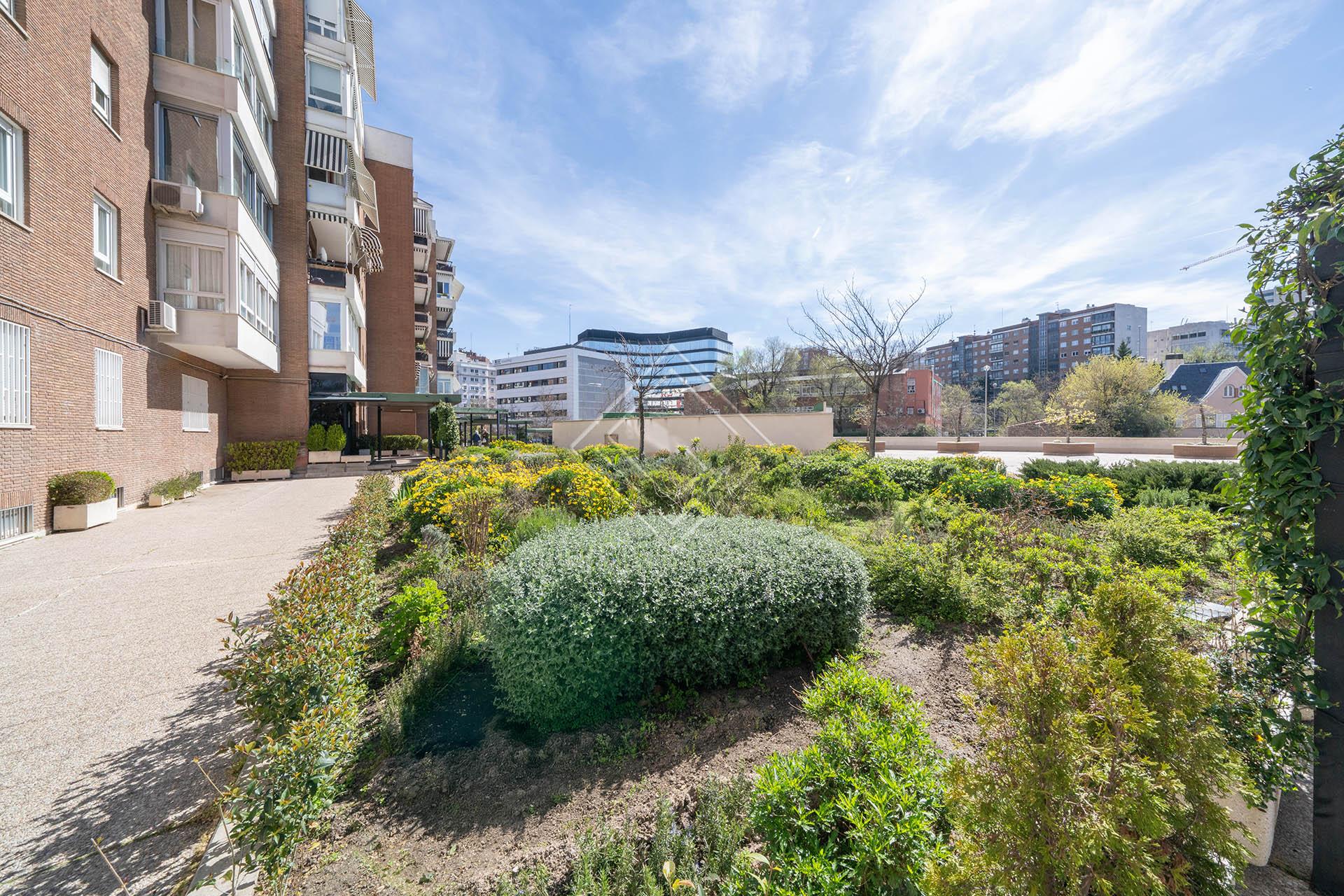 Imagen 18 de la propiedad